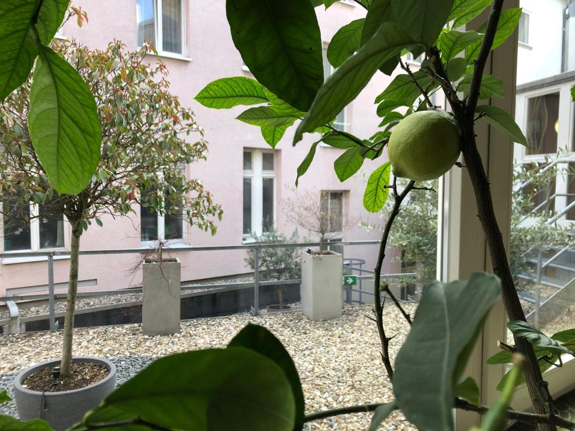 Kaiserhof Karlsruhe Luaran gambar